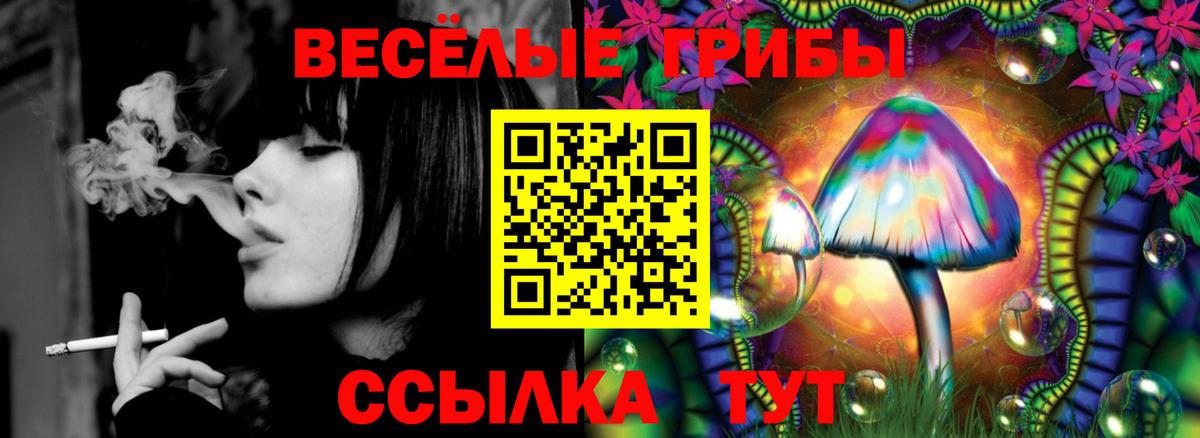 Кыштым  Псилоцибиновые грибы мицелий  Галлюциногенные грибы MAGIC MUSHROOMS  Вход с VPN 